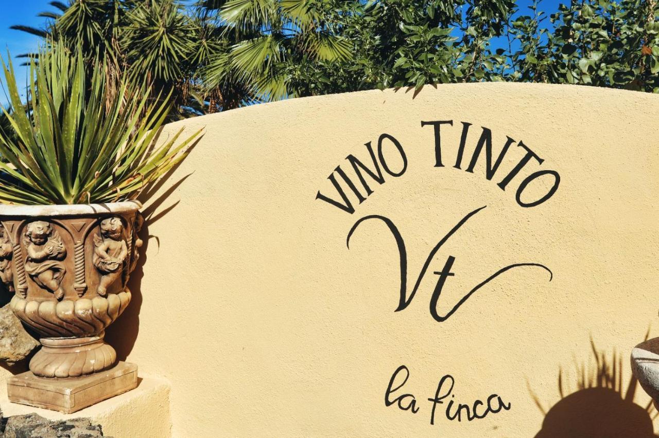Finca Vino Tinto 2 Ікод-де-лос-Вінос Екстер'єр фото